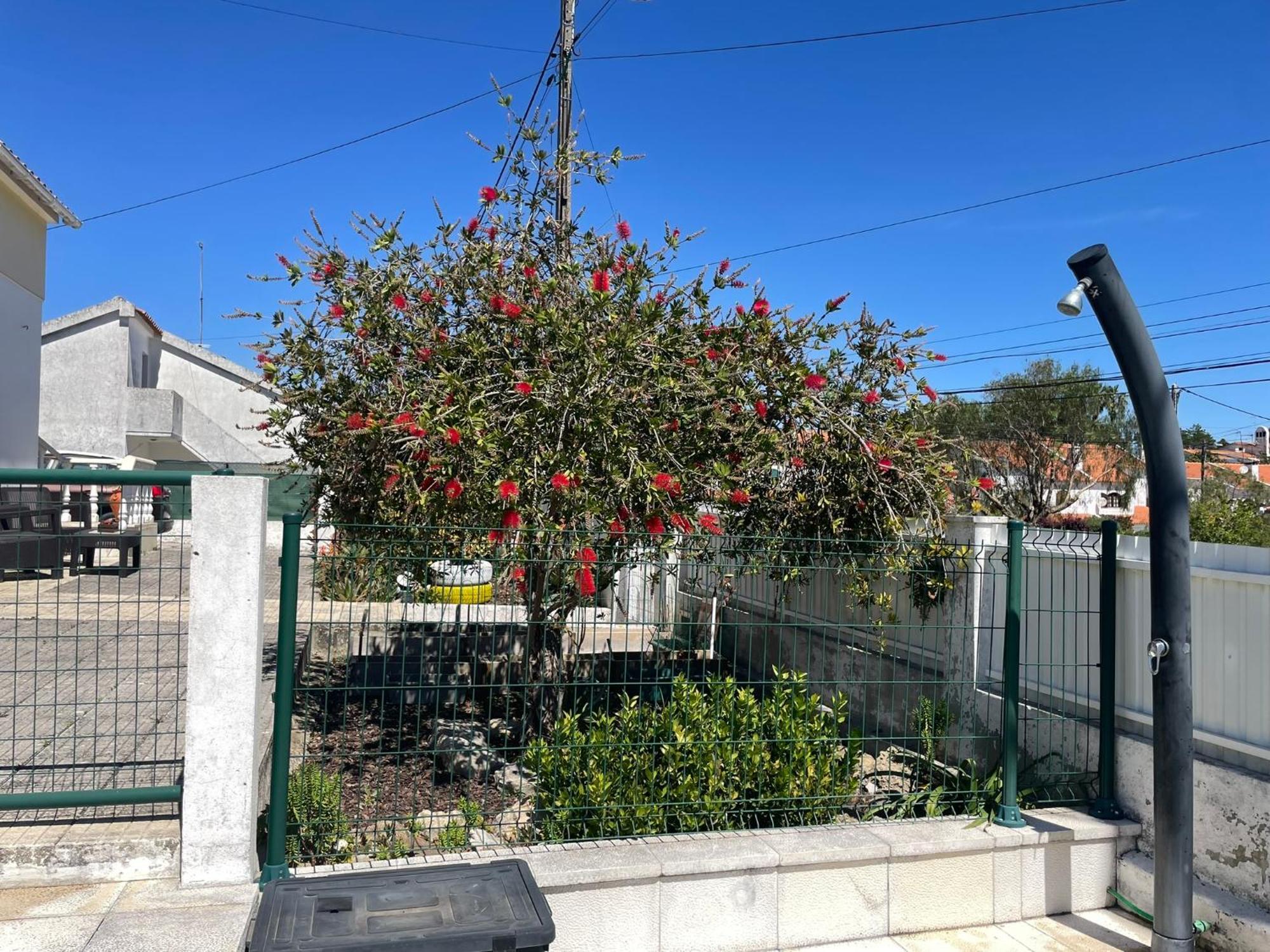 Casa Vila Sao & Pompeia Sesimbra Dış mekan fotoğraf